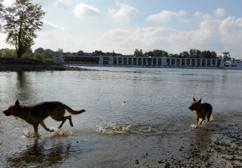 18. Oktober 2015