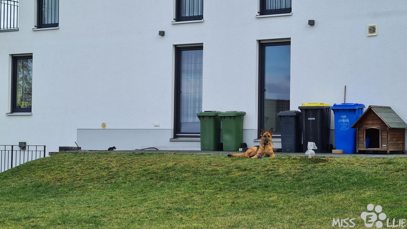 05.02.2021 14:09 | Wachdienst