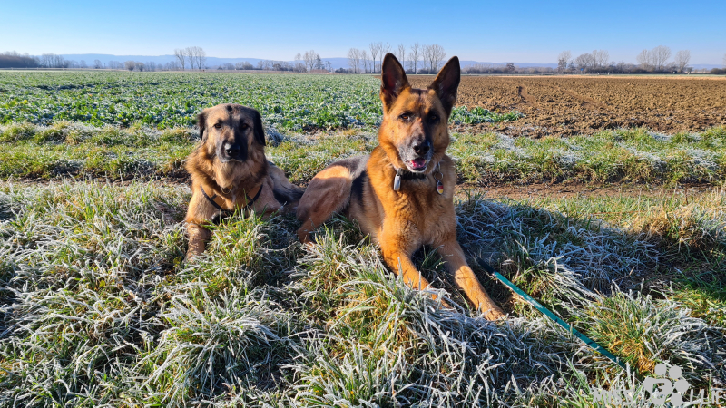 06.03.2021 09:42 | Marie & Ellie