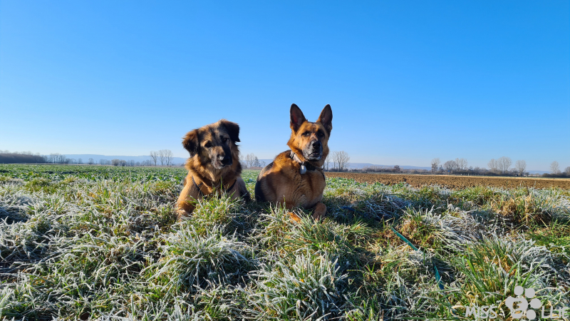 06.03.2021 09:43 | Marie & Ellie