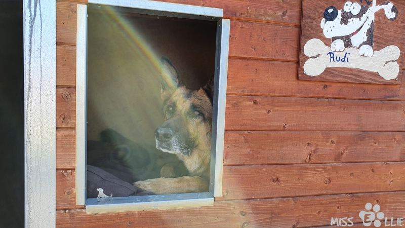 06.03.2021 14:42 | Rudi's Hütte