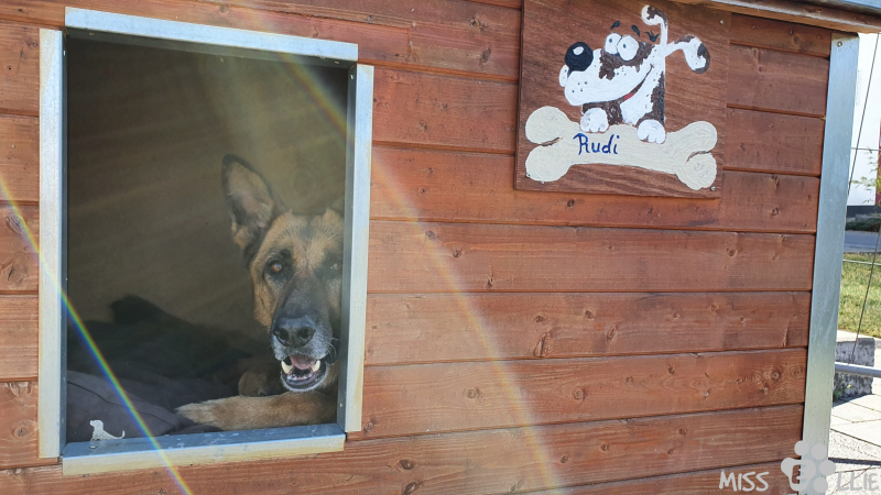 06.03.2021 14:42 | Rudi's Hütte
