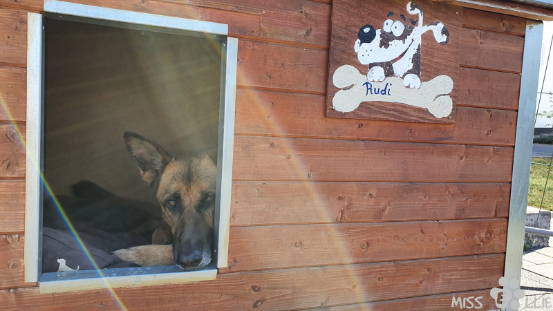 06.03.2021 14:42 | Rudi's Hütte