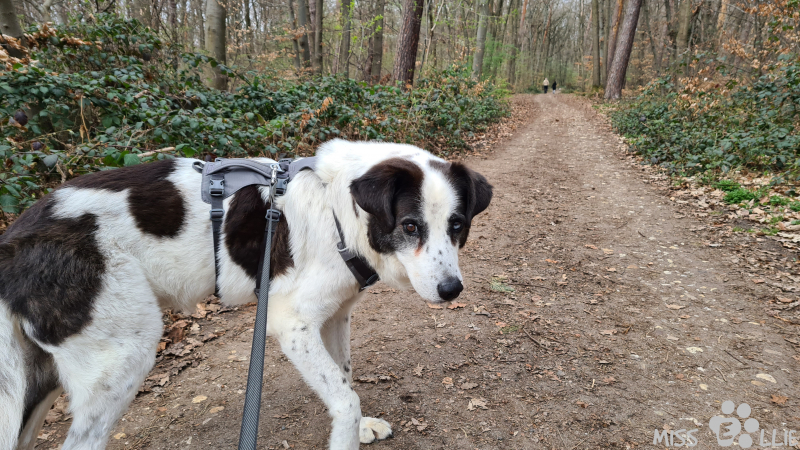 02.04.2021 14:59 | Mach's gut Emil