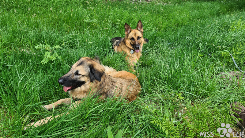 04.06.2021 11:38 | Marie & Ellie