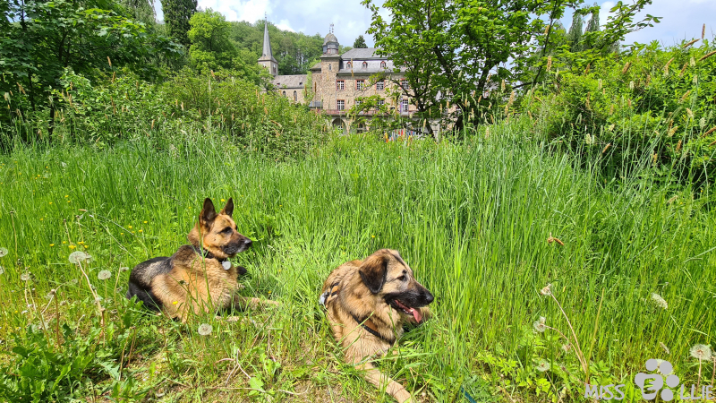 04.06.2021 12:14 | Marie & Ellie