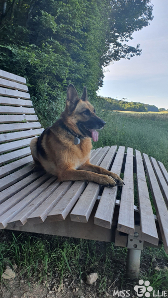 19.06.2021 08:49 | Buschhoven