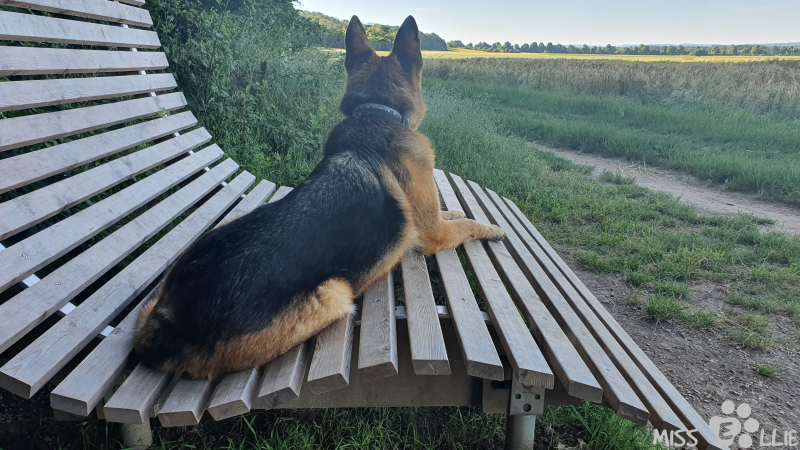 19.06.2021 08:49 | Buschhoven