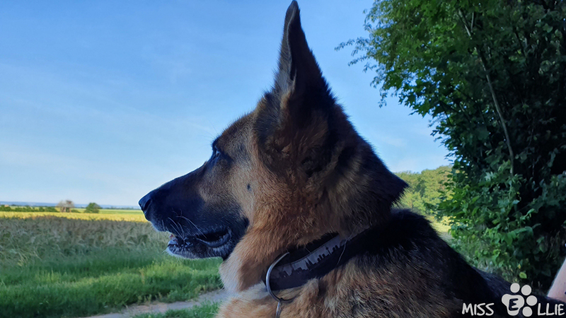 19.06.2021 08:50 | Buschhoven