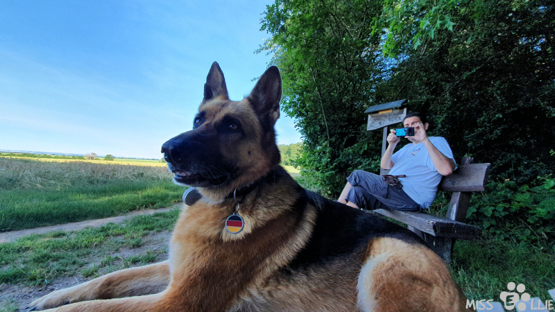 19.06.2021 08:50 | Buschhoven