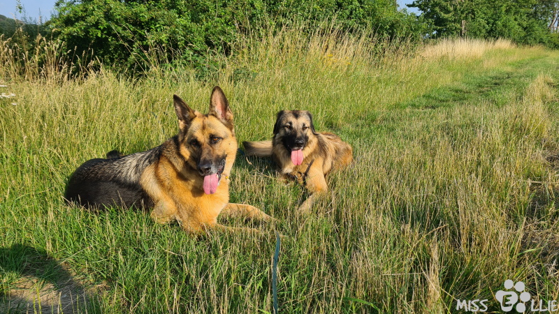 20.07.2021 19:01 | Marie & Ellie