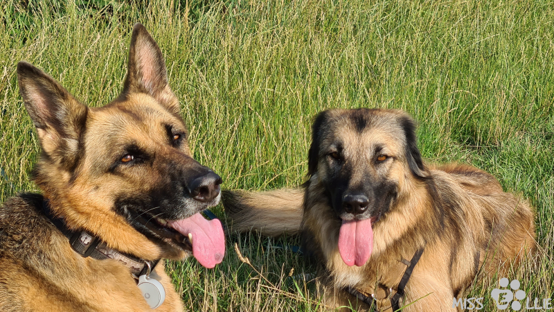 20.07.2021 19:01 | Marie & Ellie