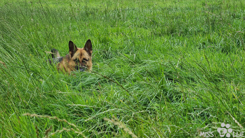 31.07.2021 09:55 | Verstecken