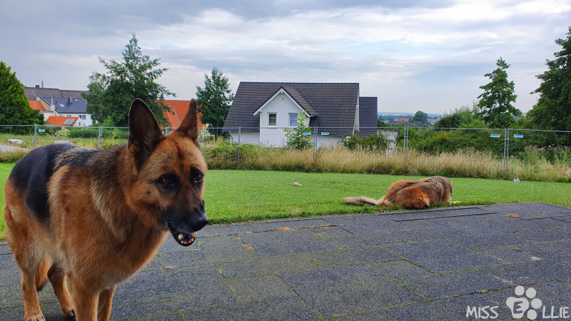 05.08.2021 08:07 | Warten auf Pedro