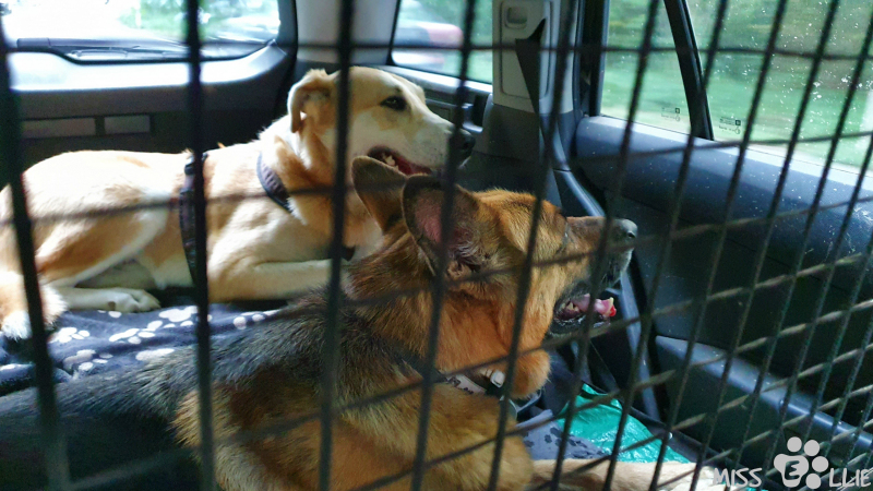 07.09.2021 18:25 | Pedro & Ellie