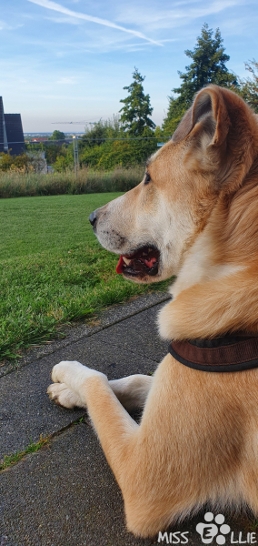 07.09.2021 19:03 | Pedro