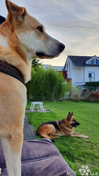 07.09.2021 19:32 | Pedro & Ellie