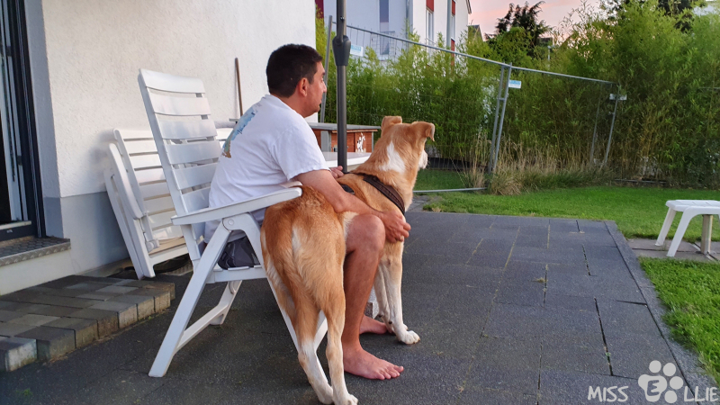 07.09.2021 20:11 | Pedro will kuscheln