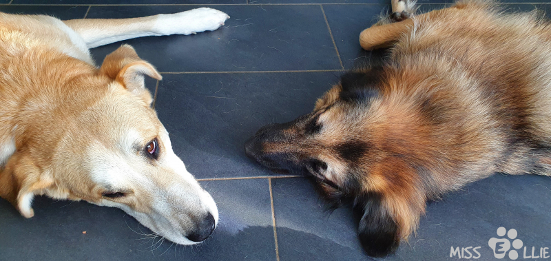 11.09.2021 09:23 | Marie & Pedro