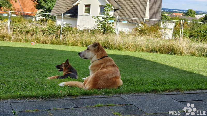11.09.2021 10:38 | Pedro & Ellie