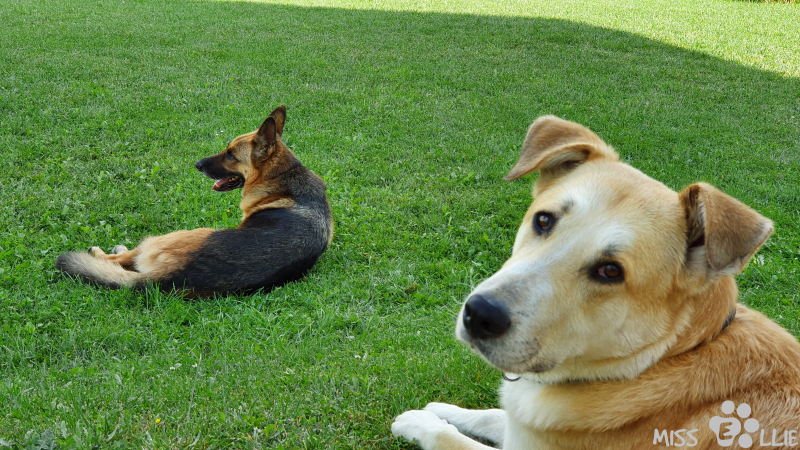 11.09.2021 10:39 | Pedro & Ellie
