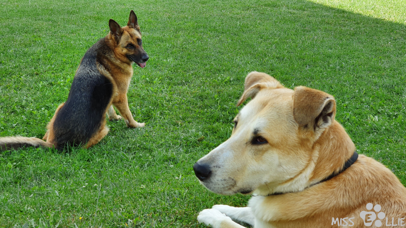 11.09.2021 10:39 | Pedro & Ellie