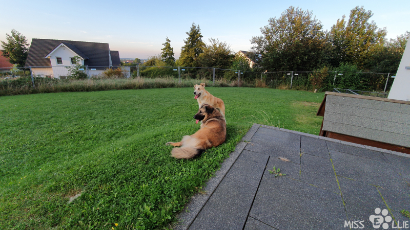 22.09.2021 18:43 | Marie & Pedro