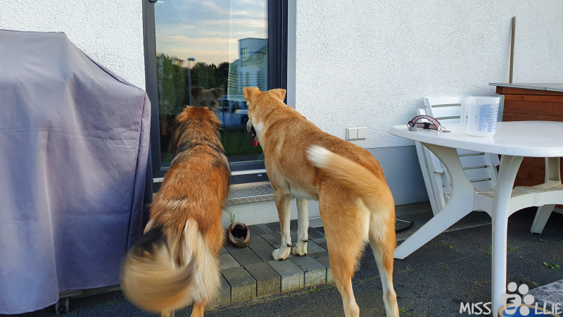 22.09.2021 18:48 | Ihr kommt hier nicht rein