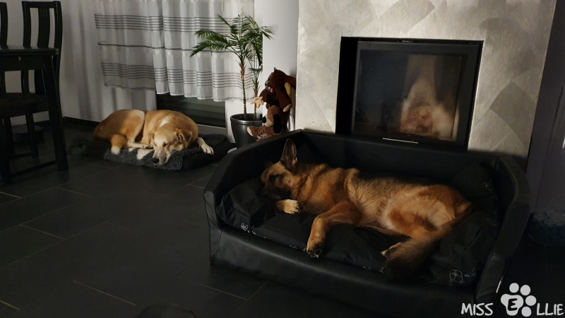 22.09.2021 23:05 | Pedro & Ellie