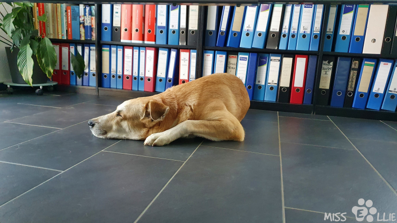 23.09.2021 08:19 | Homeoffice