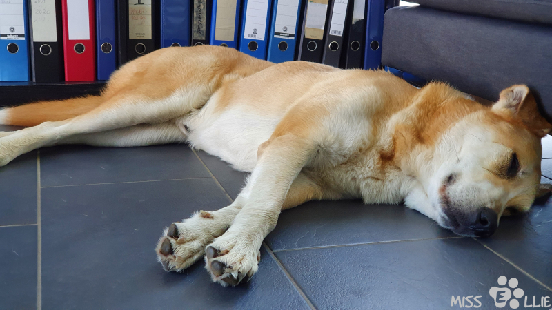 23.09.2021 10:24 | Homeoffice