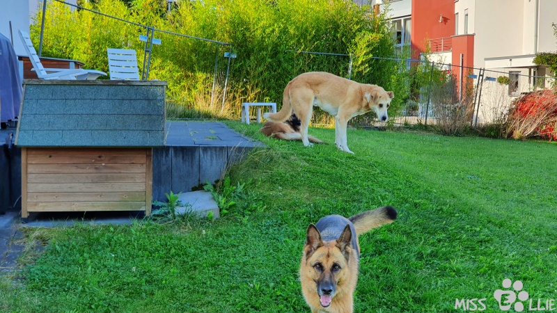 24.09.2021 09:39 | Pedro & Ellie