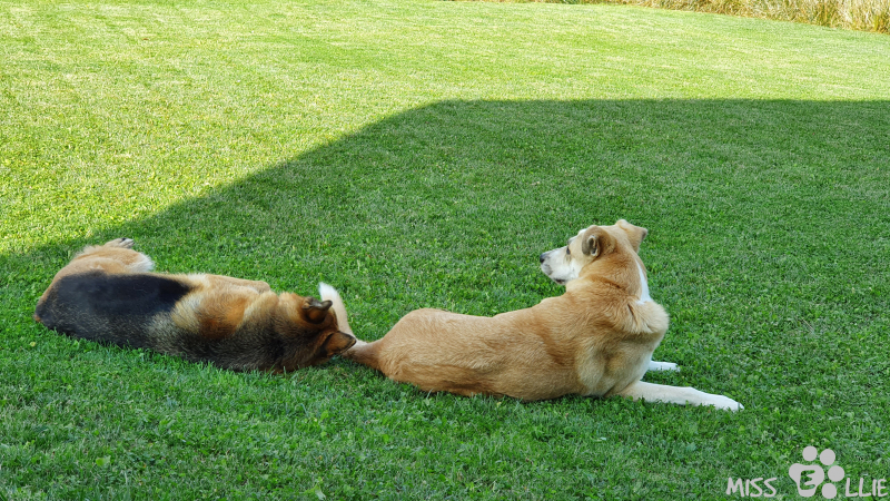 26.09.2021 11:29 | Pedro & Ellie