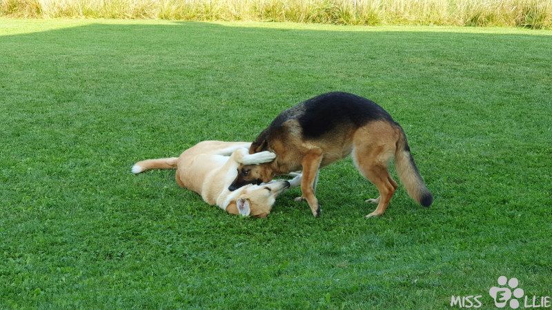 26.09.2021 11:29 | Pedro & Ellie