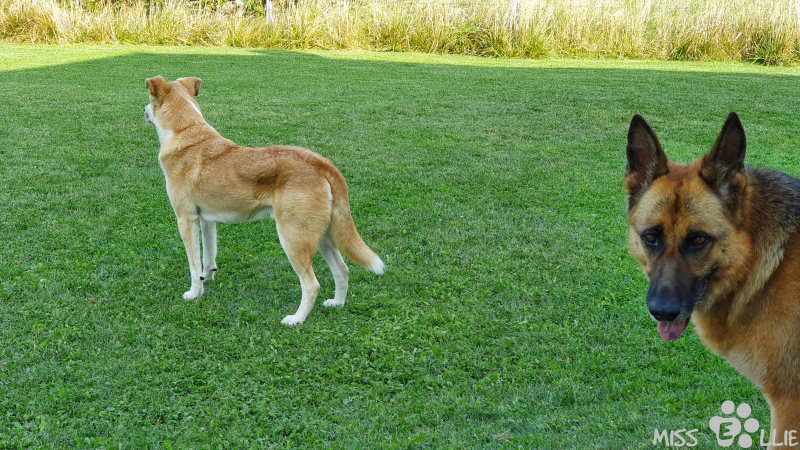 26.09.2021 11:30 | Pedro & Ellie
