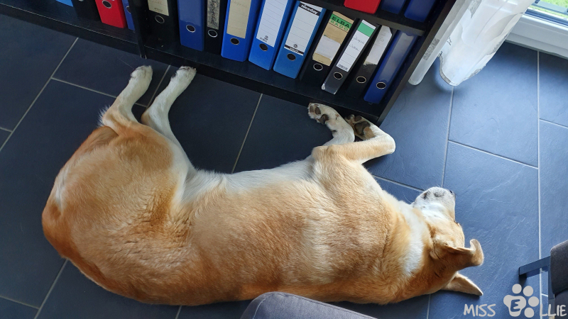 01.10.2021 08:36 | Homeoffice