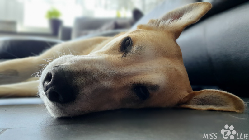 16.04.2022 10:51 | Pedro