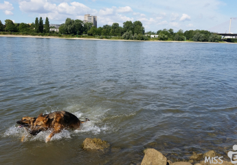 26. Juli 2015