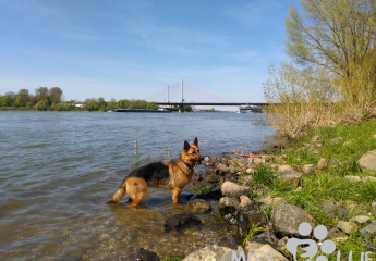 Mai 2016