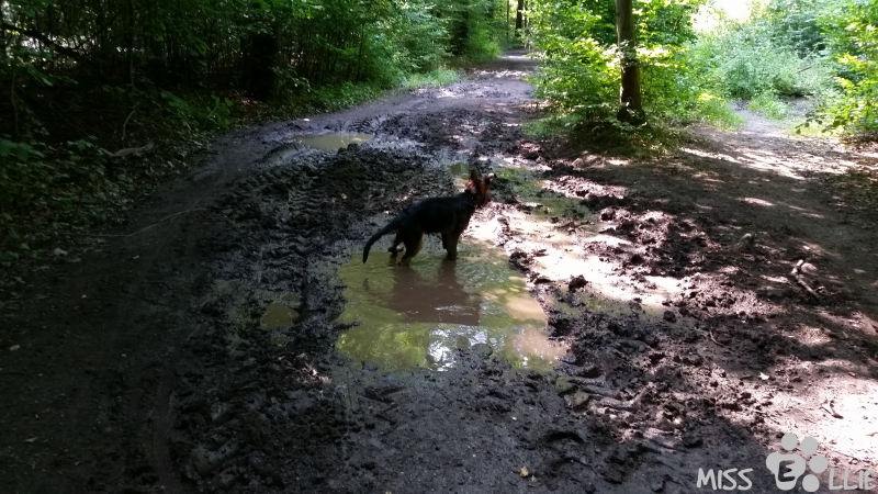 01/08/2014 11:17 My first mud bath