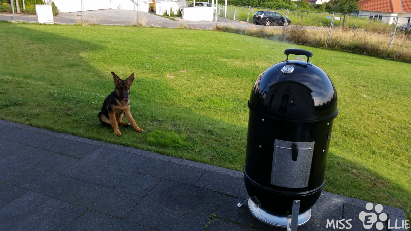 02/08/2014 08:28 R2D2
