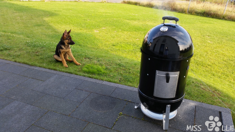 02/08/2014 08:29 R2D2