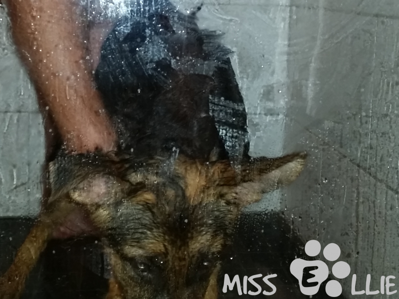 03/08/2014 10:22 My first bath