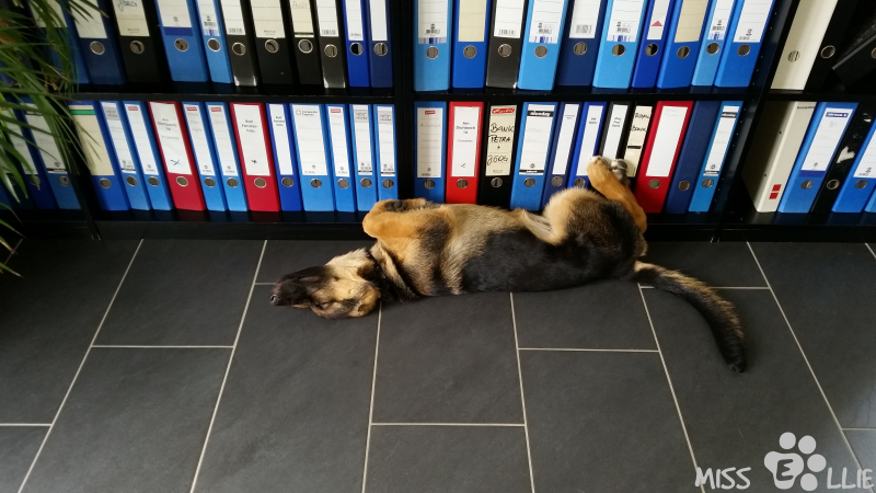 07/08/2014 13:41 Home Office
