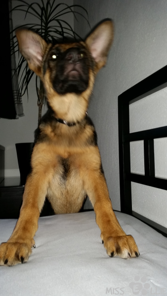 09/08/2014 07:17 Get up!
