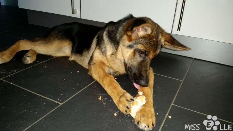 12/08/2014 19:37 My first Brötchen
