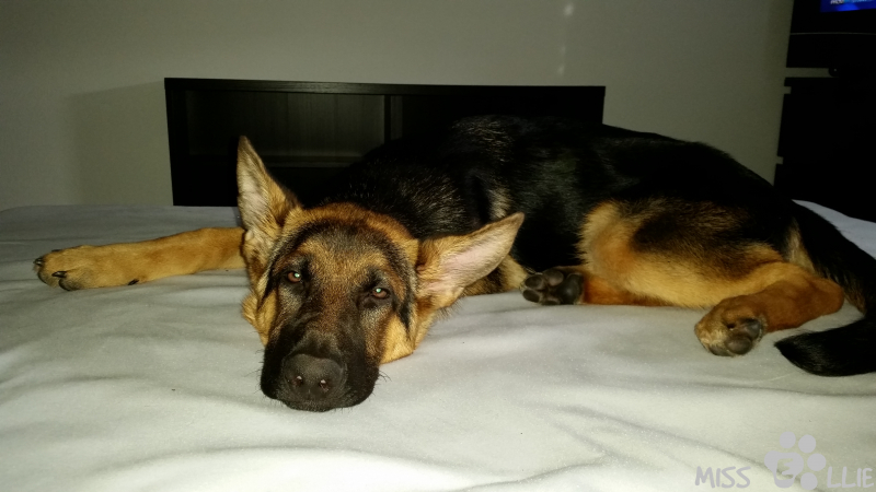 29/08/2014 09:16 Rocky?!