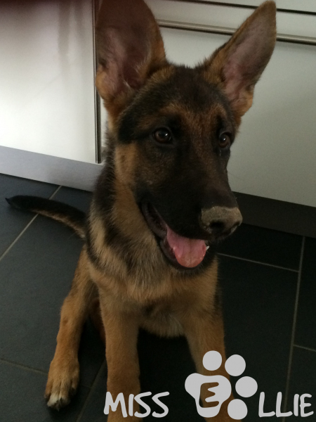 03/08/2014 13:50 Brown nose