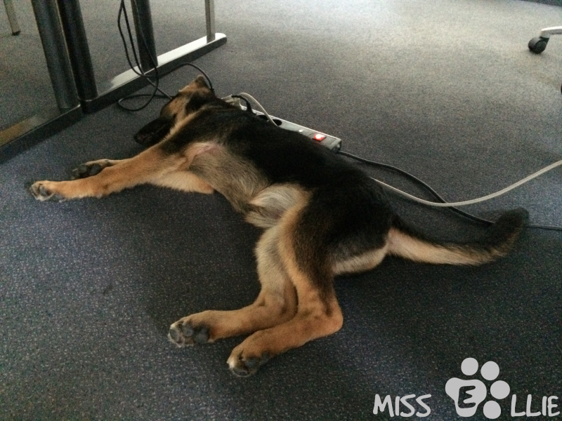 05/08/2014 12:15 Office day