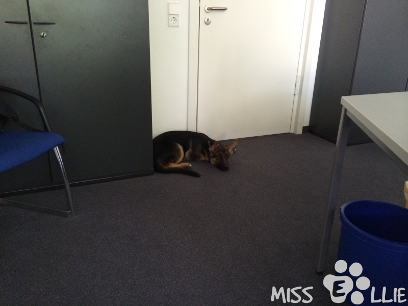 05/08/2014 12:52 Office day